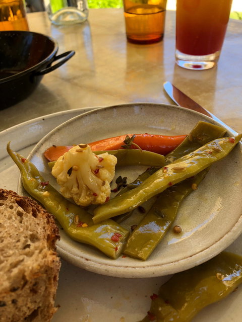 FINO Seppeltsfield - Renee 3