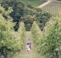 Greenhill Wines - Renee