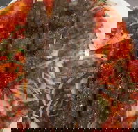 Jannah Charcoal Chicken - Renee