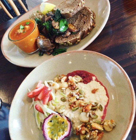 Juniper And Pine - Renee 4