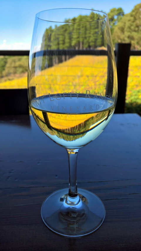 Mt Lofty Ranges Vineyard - Internet Find 4