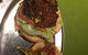 Nordburger - thumb 1