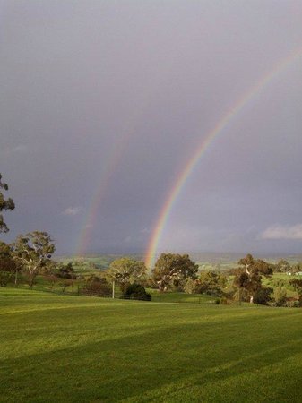 One Tree Hill SA Renee