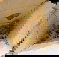 Wok in A Box - Swimm