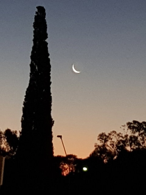 Barmera Bakery - Renee 2