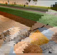 Barmera Chicken and Seafood - Internet Find