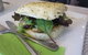 Cafe Lime & Gourmet Foodstore - thumb 0