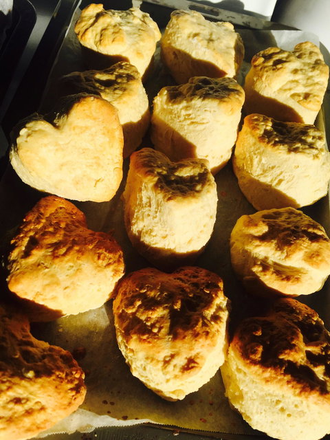 Cogwebs - Internet Find 1