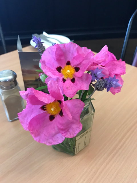 Kincraig Hotel - Renee 3