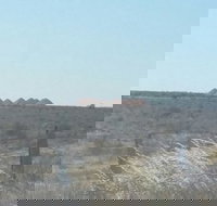 Moonlite Cafe - Internet Find