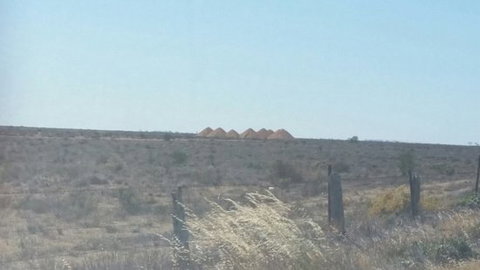 Moonlite Cafe - Renee 0