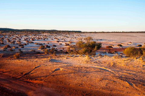 Mozie's Truckstop & Diner - Renee 0