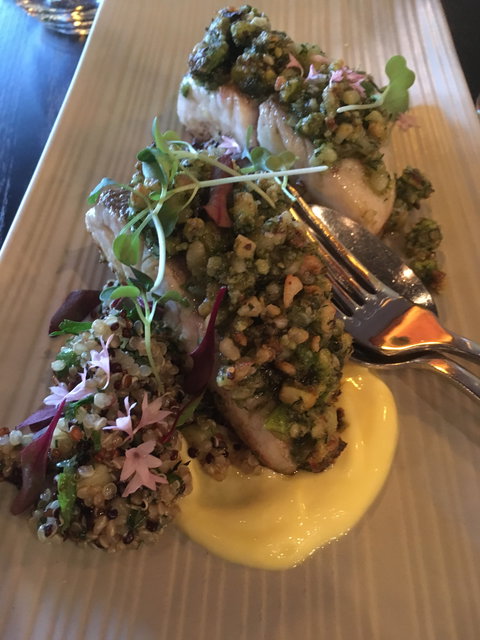 Musque Food & Wine - Qld Realsetate 3