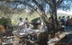 Skillogalee Winery & Restaurant - thumb 0