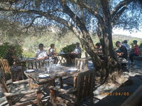 Skillogalee Winery  Restaurant