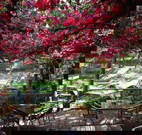 The Bridgewater Inn - Renee