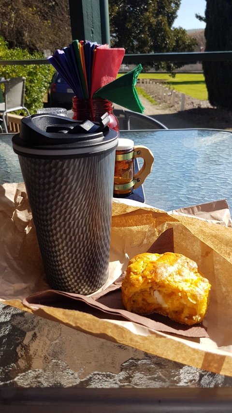 The Retro Vibe - Renee 1