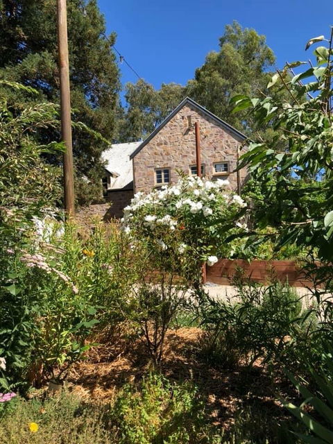 The Seasonal Garden Cafe - Petrol Stations 5