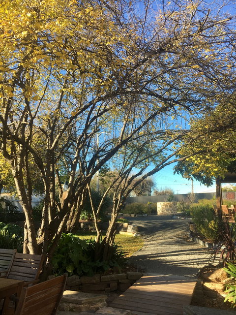 Velvet And Willow Wines - Internet Find 10