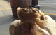 Waters Burra Bakery - thumb 1