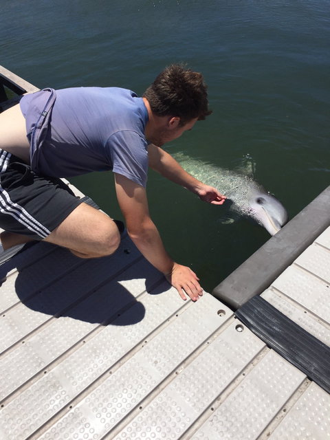 Whyalla Foreshore - Swimm 2