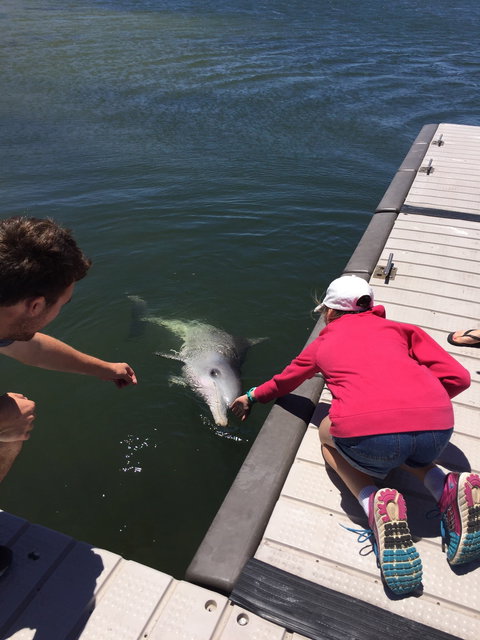 Whyalla Foreshore - Swimm 3
