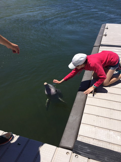 Whyalla Foreshore - Swimm 8