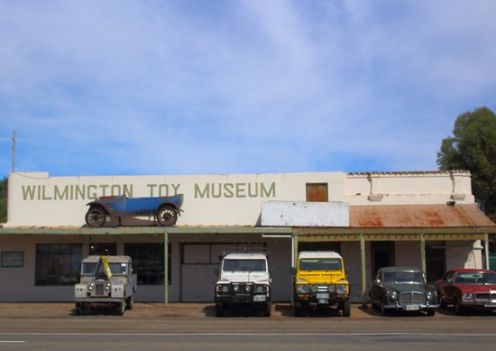 Cradock ACT Renee
