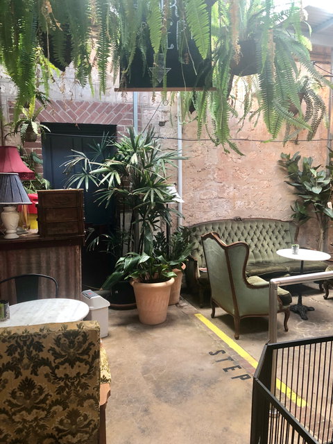 Bay Funktion - Swimm 1