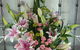 Blooms N Bakes - thumb 1