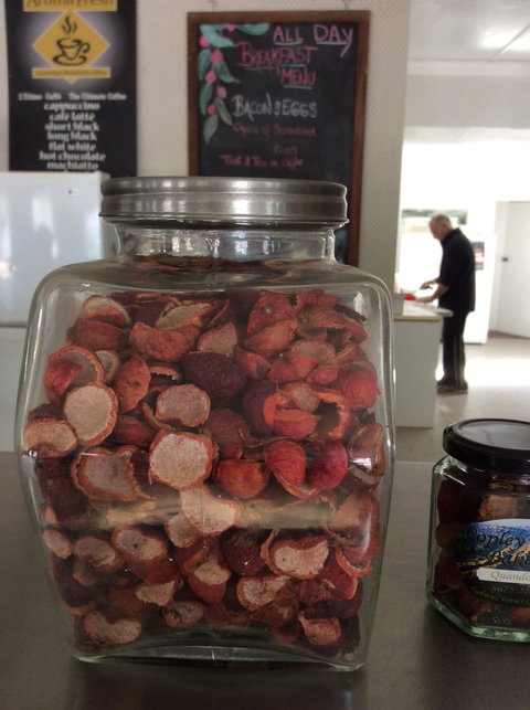 Copley Bush Bakery And Quandong Cafe - Renee 4