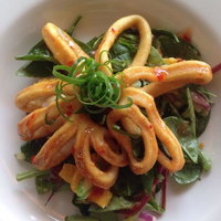 Loxton Community Hotel Motel