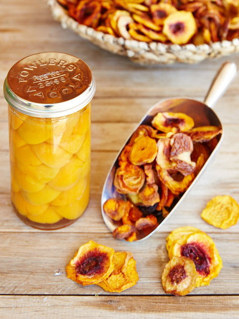 O'Reilly's Orchard - Renee 2