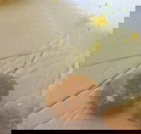 Parade Fish Shop - Renee