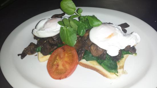 Clayton Bay SA Swimm