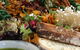 SLATE Restaurant - thumb 4