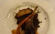 Tartufo Classic Italian - thumb 1