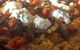 Wild Ma's Bistro - thumb 2