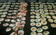 Tanakas Sushi & Juice Bar - thumb 3