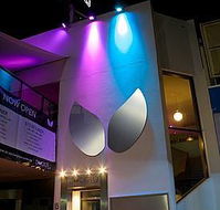 Society Bar  Nightspot - Renee