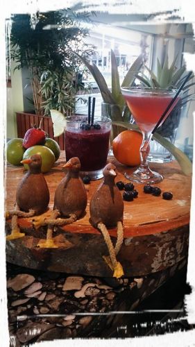 Limetree Bar & Restaurant - Renee 2