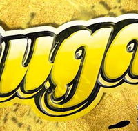 The Sunken Monkey - Renee