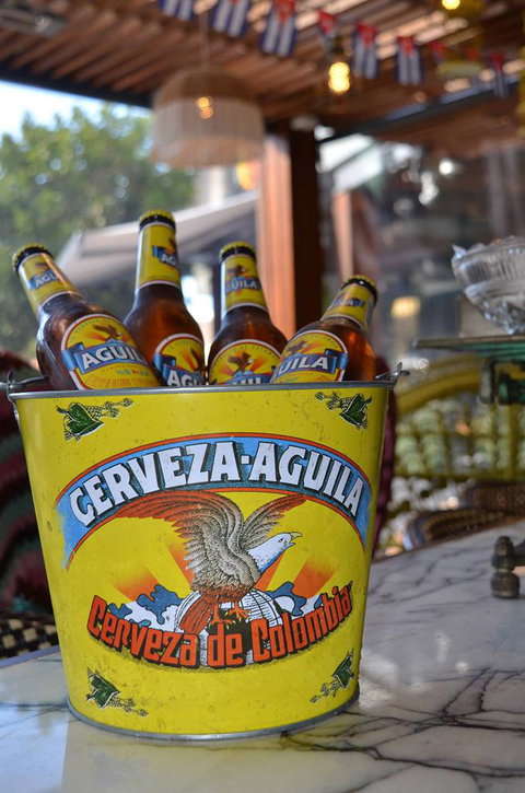 Coco Cubano Mackay - Swimm 2