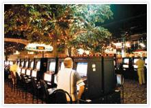 Mount Isa Irish Club - Petrol Stations 3