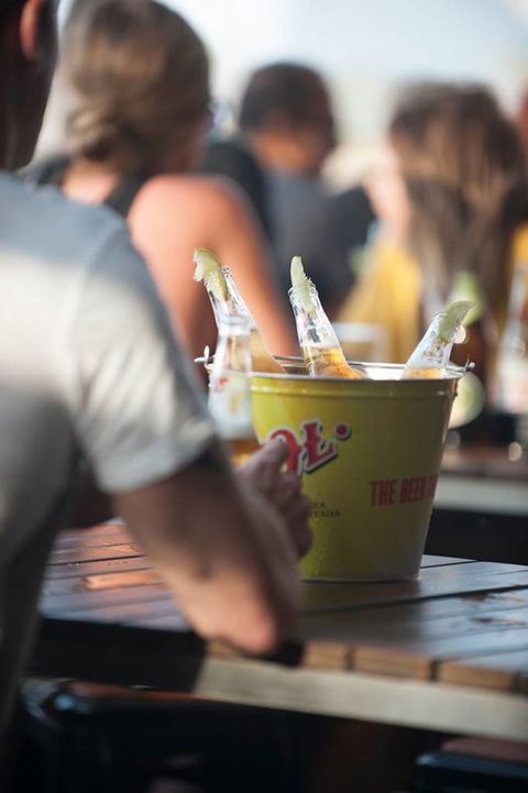 The Landing - Renee 3