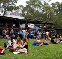 Bar on the Hill - Renee