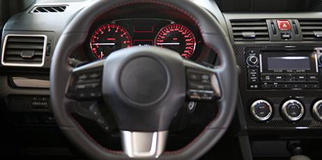 Dave's Used Cars - Renee 3