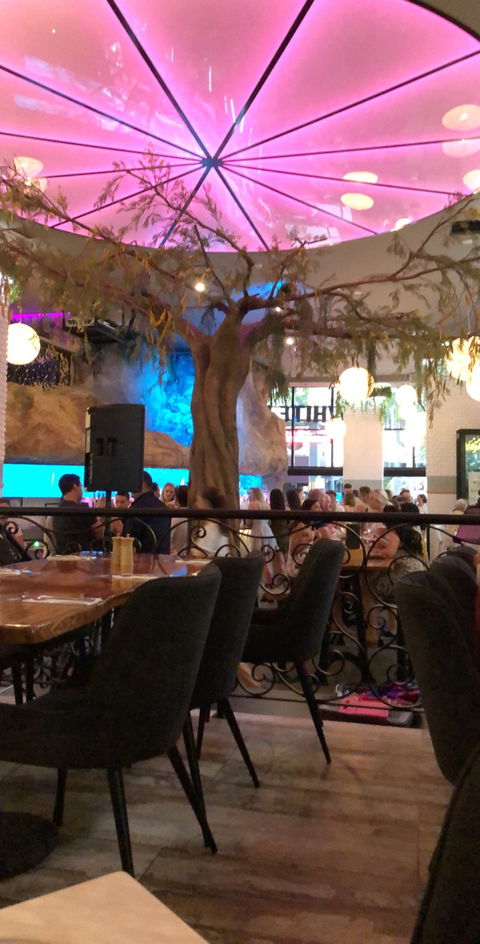 White Rhino Bar And Eats - Renee 4