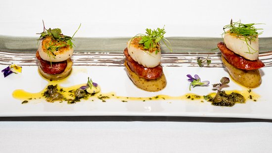 Pet Food Supplies Biggera Waters QLD Renee