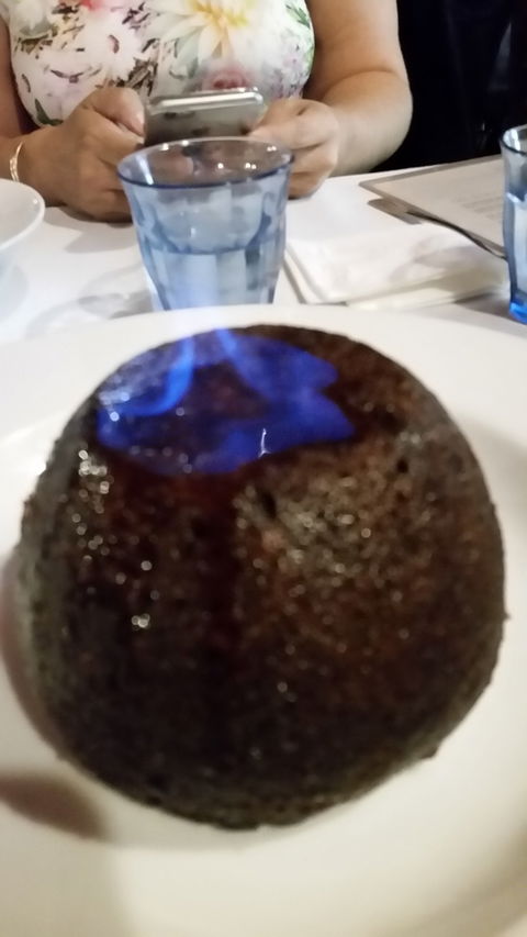 Fox And Hound - Renee 2